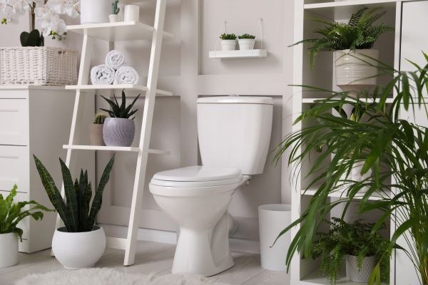 Cost of Toilet Repair in Navarre