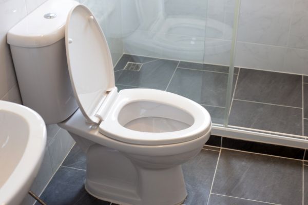 Cost of Toilet Replacement in Navarre