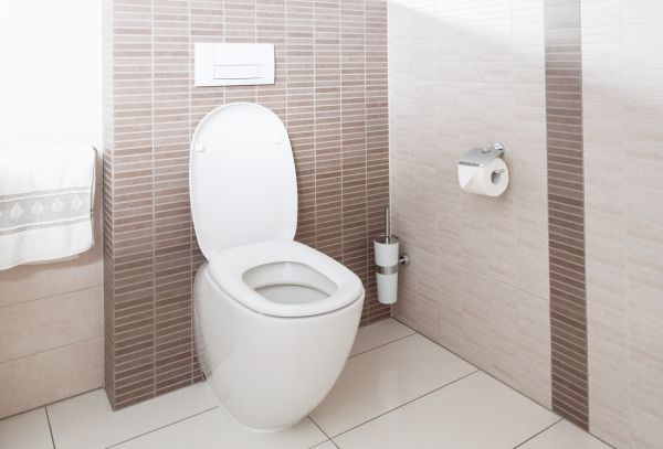 Cost of Toilet Plumbing Installation in Navarre